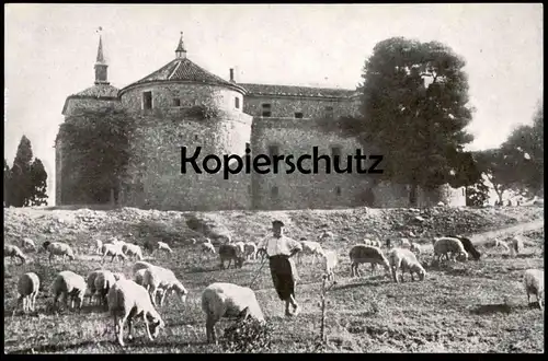 ÄLTERE POSTKARTE CASTILLO DE VILLAVICIOSA DE ODÓN sheep herde Hirte Schafe La Oveja castle cpa postcard Ansichtskarte