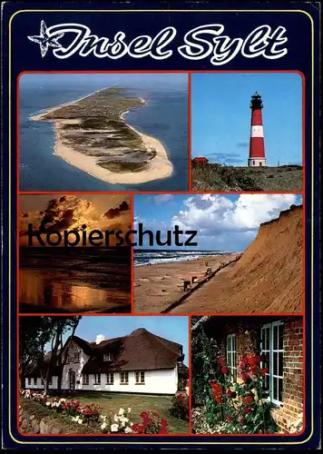 ÄLTERE POSTKARTE SYLT MEHRBILD FRIESENHAUS & LEUCHTTURM Seestern Starfish étoile de Mer du nord Nordsee North Sea AK cpa