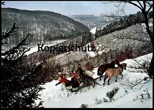 ÄLTERE POSTKARTE SCHLITTENFAHRT IM HOCHSAUERLAND SAUERLAND LUGE SLEDGE SLEIGH Neige Snow Horse Pferd Cheval postcard cpa