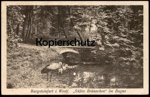 ALTE POSTKARTE BURGSTEINFURT SÜSSES BRÜNNCHEN IM BAGNO STORCH KIND stork cigogne Baby enfant montage photo cpa postcard