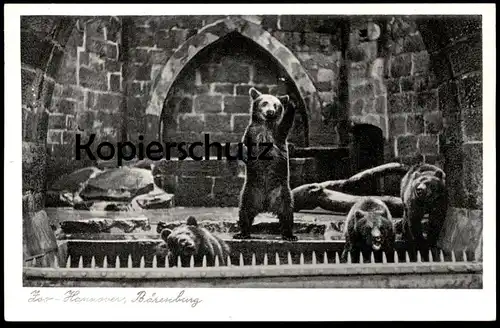 ALTE POSTKARTE ZOO HANNOVER BÄRENBURG BÄREN GEHEGE Bär bear ours Tierpark zoological garden postcard Ansichtskarte cpa