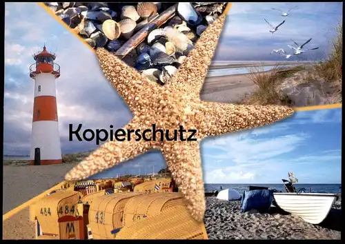 POSTKARTE SEE MEER MUSCHEL SEESTERN COQUILLAGE DE MER LEUCHTTURM Möwe Strandkorb shell seastar etoile postcard cpa AK