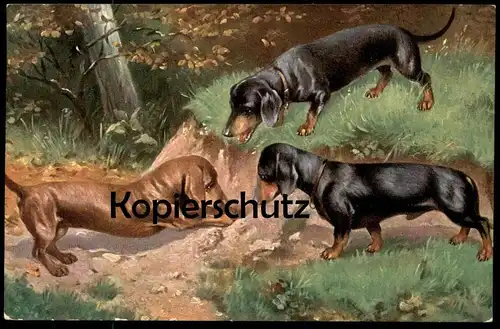 ALTE POSTKARTE DACKEL JAGDHUND Fuchsjagd Hund Dachshund Teckel dog chien Fuchsbau Fuchs Jagd hunting cpa AK postcard