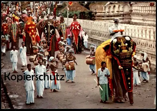 ÄLTERE POSTKARTE ELEFANT KANDY PERAHERA SRI LANKA elephant tusker Trommler drummer joueur postcard cpa Ansichtskarte AK