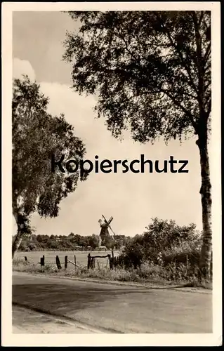 ÄLTERE POSTKARTE GRAAL-MÜRITZ BLICK ZUR WINDMÜHLE MOLEN Mühle Mill Moulin à vent Windmill cpa postcard Ansichtskarte AK