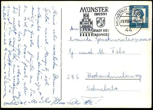 ALTE POSTKARTE MÜNSTER WAPPEN COULEURKARTE STUDENTICA STUDENTIKA CHERUSCIA WAHR Burschenschaft Ansichtskarte postcard AK