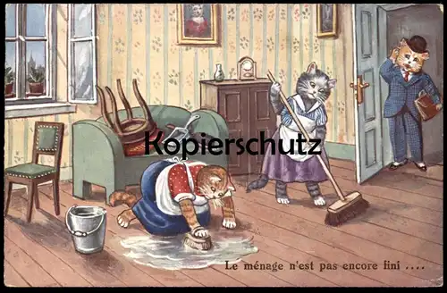 ALTE POSTKARTE KATZEN VERMENSCHLICHT WISCHEN HAUSPUTZ LE MÉNAGE N'EST PAS ENCORE FINI cat cats chat chats Katze postcard