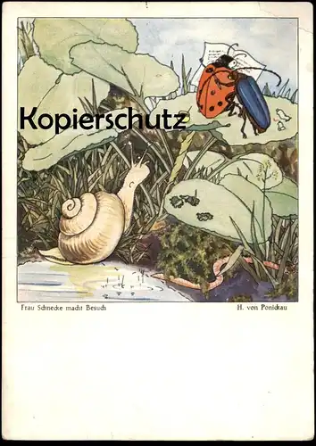 ALTE POSTKARTE TIERE KÄFER MARIENKÄFER SCHNECKE VERMENSCHLICHT WURM worm HANS WOLFF VON PONICKAU ladybird snail postcard