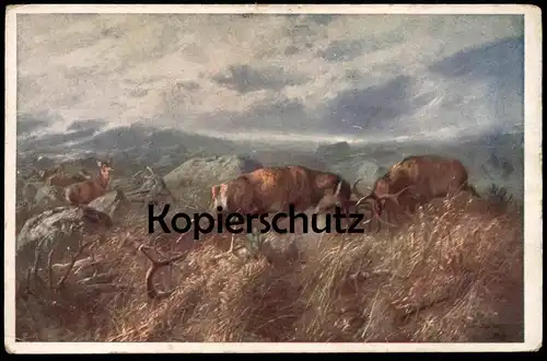 ALTE KÜNSTLER POSTKARTE KÄMPFENDE HIRSCHE BRUNFT SPIESSER HIRSCH Reh Roe fallow deer daim chevreuil cerf postcard cpa AK