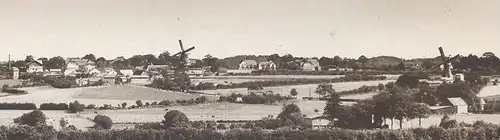 ALTE POSTKARTE STERUP BEI ANGELN WINDMÜHLE Kühe Cows Vaches Kuh Cow Windmill Windmolen Molen Moulin à vent postcard cpa