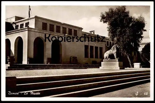 ÄLTERE POSTKARTE DAMAS LE MUSÉE DAMASCUS THE MUSEUM Syrie Syria Syrien Löwe lion cpa postcard AK Ansichtskarte