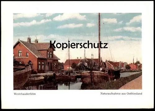 ÄLTERE REPRO POSTKARTE WESTRHAUDERFEHN NATURAUFNAHME AUS OSTFRIESLAND UM 1900 RHAUDERFEHN Ansichtskarte AK cpa postcard