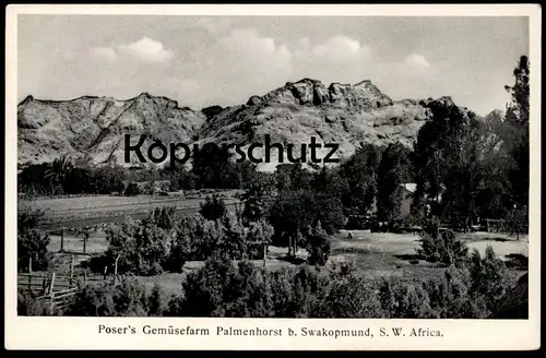 ALTE POSTKARTE SWAKOPMUND POSER'S GEMÜSEFARM PALMENHORST SÜDWEST-AFRIKA postcard Ansichtskarte AK colony colonie Kolonie