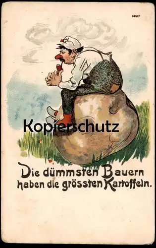 ALTE POSTKARTE DIE DÜMMSTEN BAUERN HABEN DIE GRÖSSTEN KARTOFFELN DICKSTEN Landwirt Bauer Humor humour Ansichtskarte cpa