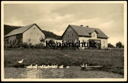 ALTE POSTKARTE SOMMERFRISCHE WIESENHOF OLBERSDORF BEI BAD LANDECK Stójków Lądek-Zdrój Schlesien cpa postcard AK