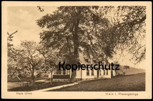 ALTE POSTKARTE HAIN IM RIESENGEBIRGE HAUS ULME SCHLESIEN PRZESIEKA POLSKA Ansichtskarte AK cpa postcard