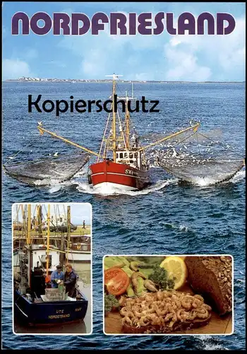 ÄLTERE POSTKARTE NORDFRIESLAND KRABBEN AUS DER NORDSEE KRABBENKUTTER SCHIFF KUTTER SCHIFF UTE crabes crabs ship postcard