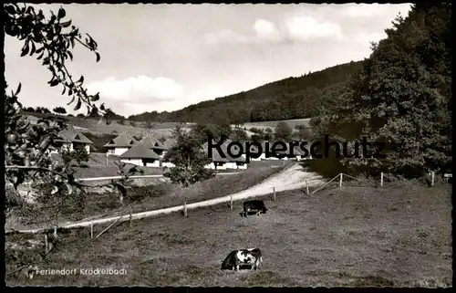 ÄLTERE POSTKARTE FERIENDORF KRÖCKELBACH FÜRTH IM ODENWALD BERGSTRASSE Kühe Kuh cows cow Ansichtskarte AK cpa postcard