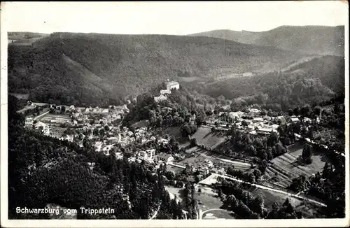 Ak Schwarzburg in Thüringen, schöne Detailansicht