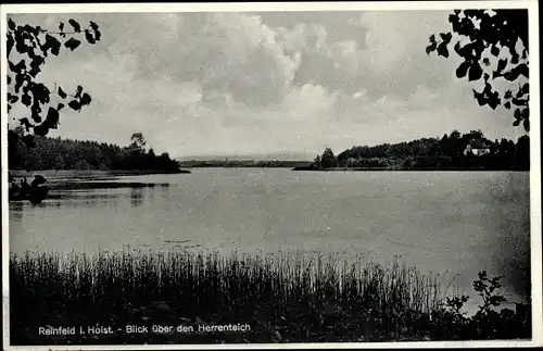 Ak Reinfeld in Schleswig Holstein, Blick über den Herrenteich