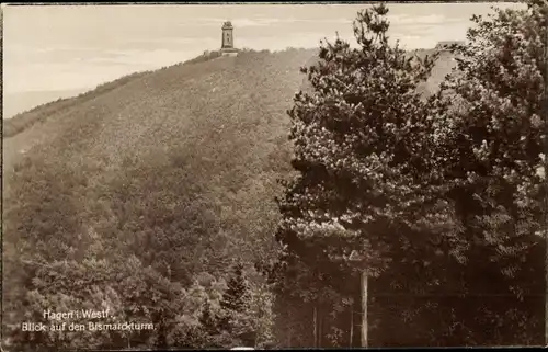 Ak Hagen in Westfalen, Blick zum Bismarckturm