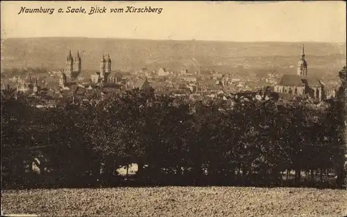 Ak Naumburg an der Saale, Stadtpanorama vom Kirschberg aus gesehen