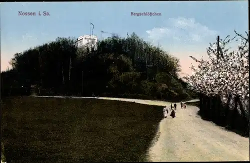 Ak Nossen Landkreis Meißen, Partie vom Bergschlößchen, Wald