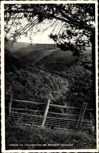 Ak Mörsdorf Rheinland Pfalz, Talblick ins Flaumbachtal