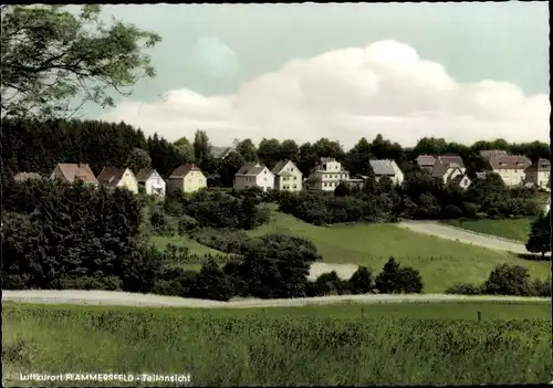 Ak Flammersfeld im Westerwald Rheinland Pfalz, Teilansicht