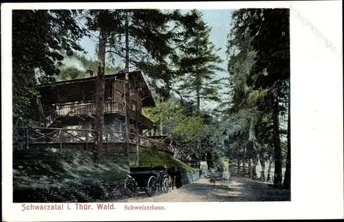 Ak Schwarzburg im Schwarzatal Thüringen, Schweizerhaus, Waldweg, Passanten, Kutsche