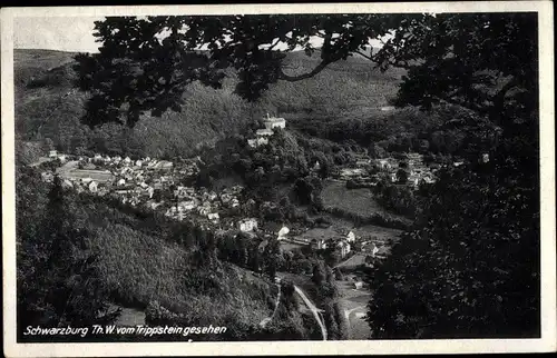 Ak Schwarzburg in Thüringen, Panorama vom Trippstein