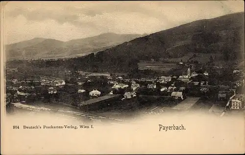 Ak Payerbach an der Rax in Niederösterreich, Panorama