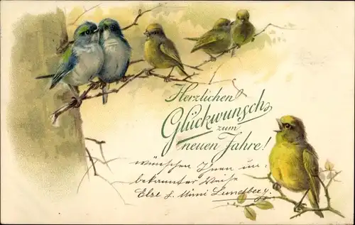 Litho Glückwunsch Neujahr, Singende Vögel, Baum