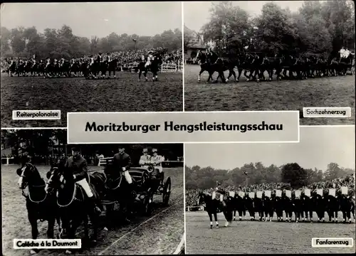 Ak Moritzburg in Sachsen, Moritzburger Hengstleistungsschau, Polonaise, Gespanne, Fanfarenzug