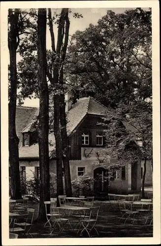 Ak Moritzburg in Sachsen, Jagdschloss, Terrasse der Kurfürstlichen Jagdschenke