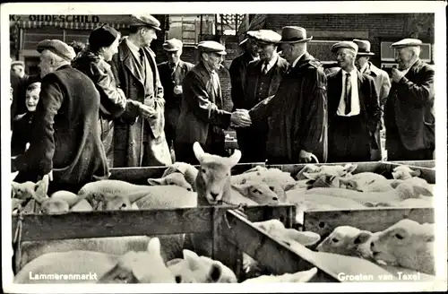 Ak Texel Nordholland Niederlande, Lammerenmarkt