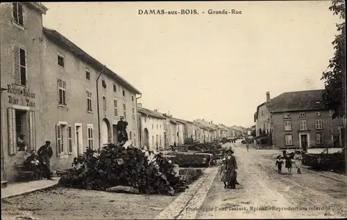 Ak Damas du Bois Lothringen Vosges, Grande Rue