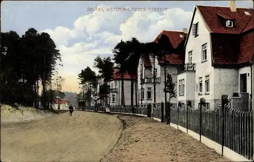 Ak Soltau Lüneburger Heide Niedersachsen, Victoria Luise Straße