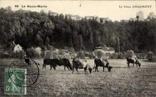 Ak Chaumont Haute-Marne, Panorama, Kuhweide