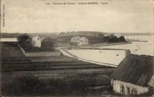 Ak Île aux Moines Morbihan, Lairio