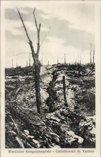 Ak Verdun Meuse, Caillettewald, westlicher Kriegsschauplatz, I. WK