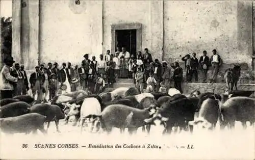 Ak Zilia Haute Corse, Benediction des Cochons