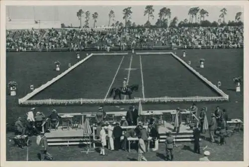 Sammelbild Olympia 1936, Dressurprüfung auf dem Maifeld