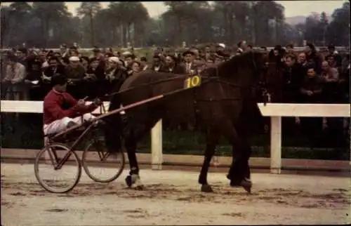 Ak Pferderennen, Wagen, Jockey, Zuschauer, Pferd Nr 10, Rennkalender 1967