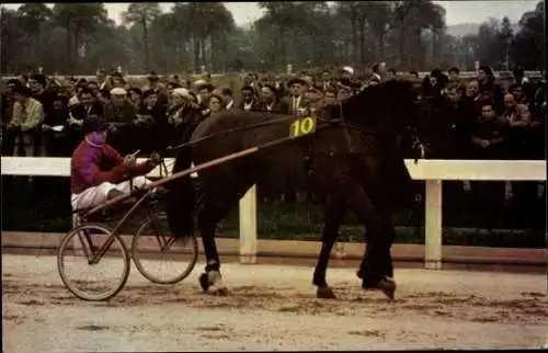 Ak Pferderennen, Wagen, Jockey, Zuschauer, Pferd Nr 10, Rennkalender 1967