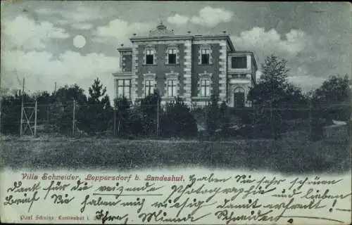 Mondschein Ak Leppersdorf Schlesien, Villa Schneider