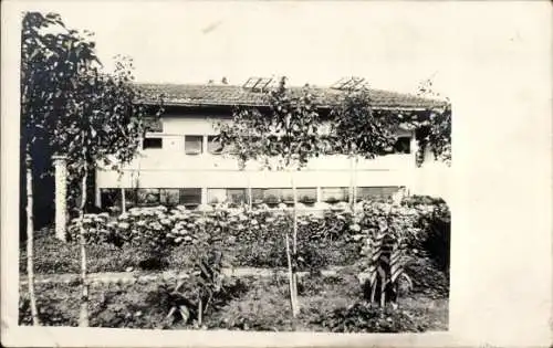 Foto Bornheim am Rhein, Bienenheim