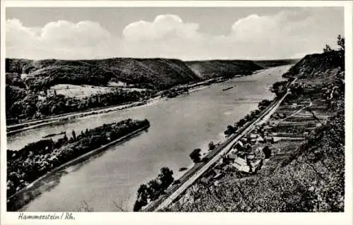 Ak Hammerstein am Rhein, Panorama