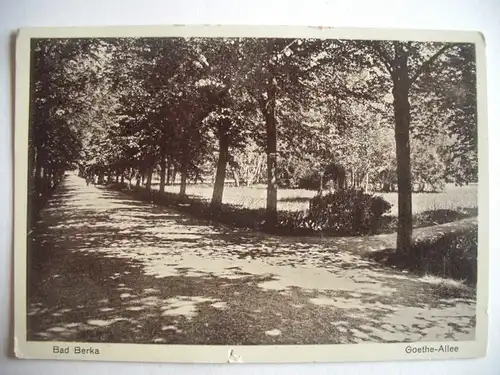 Alte AK Bad Berka Goethe Allee [W377]