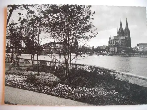 Alte AK Köln Dom Rhein [aF117]